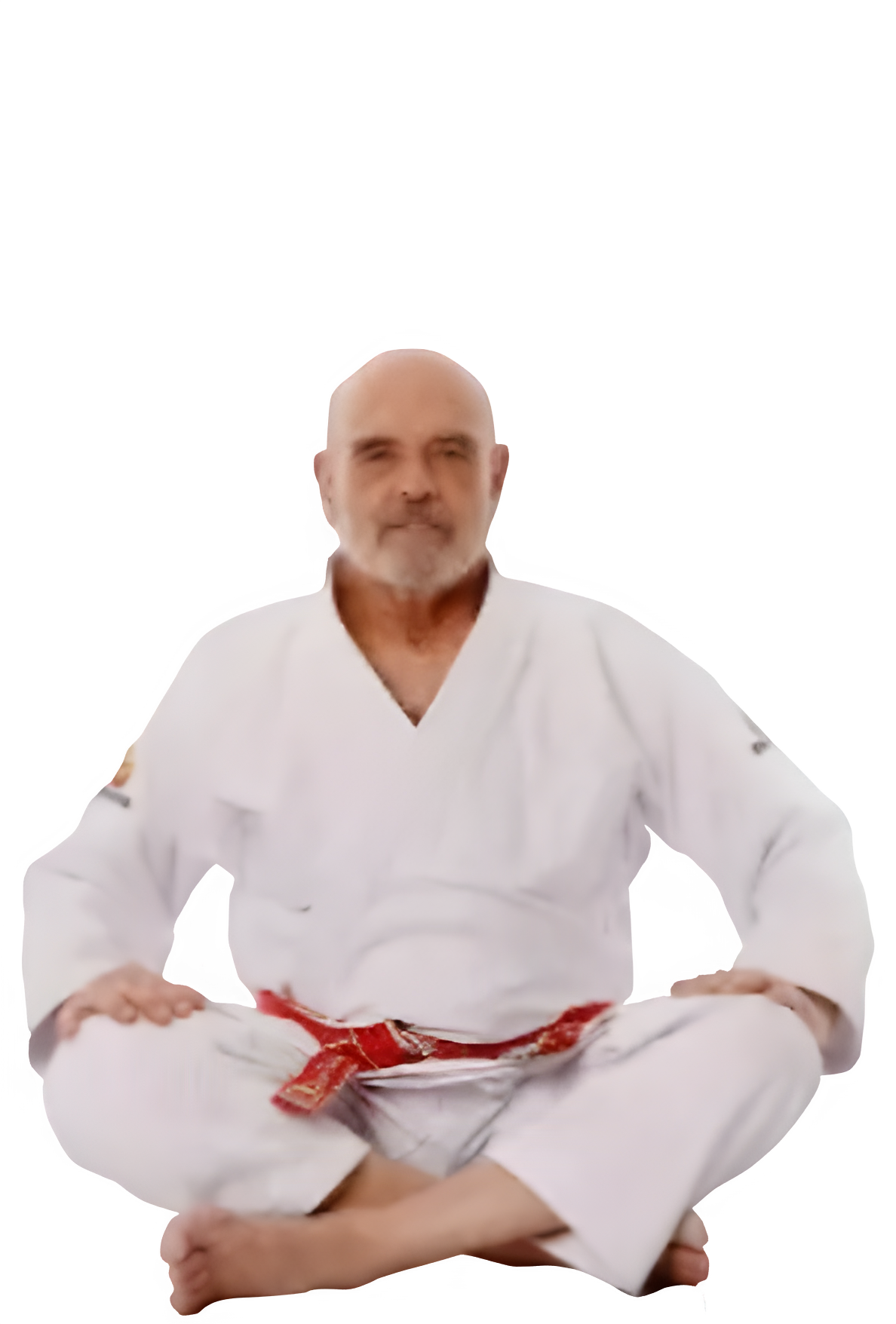 Flávio Behrin-image